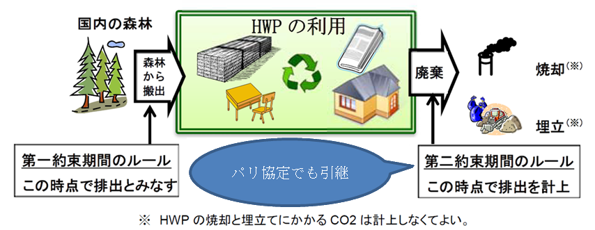 HWP（伐採木材製品）などの取り扱い（に基づいて作成）