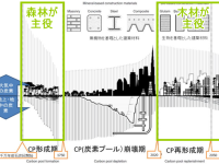 地球環境時代と木材 第2回「温暖化対策の決め手は木材の利用」