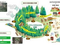 地球環境時代と木材 第4回「木材を使えば森林が減る？森林のガバナンスとサプライチェーン管理」