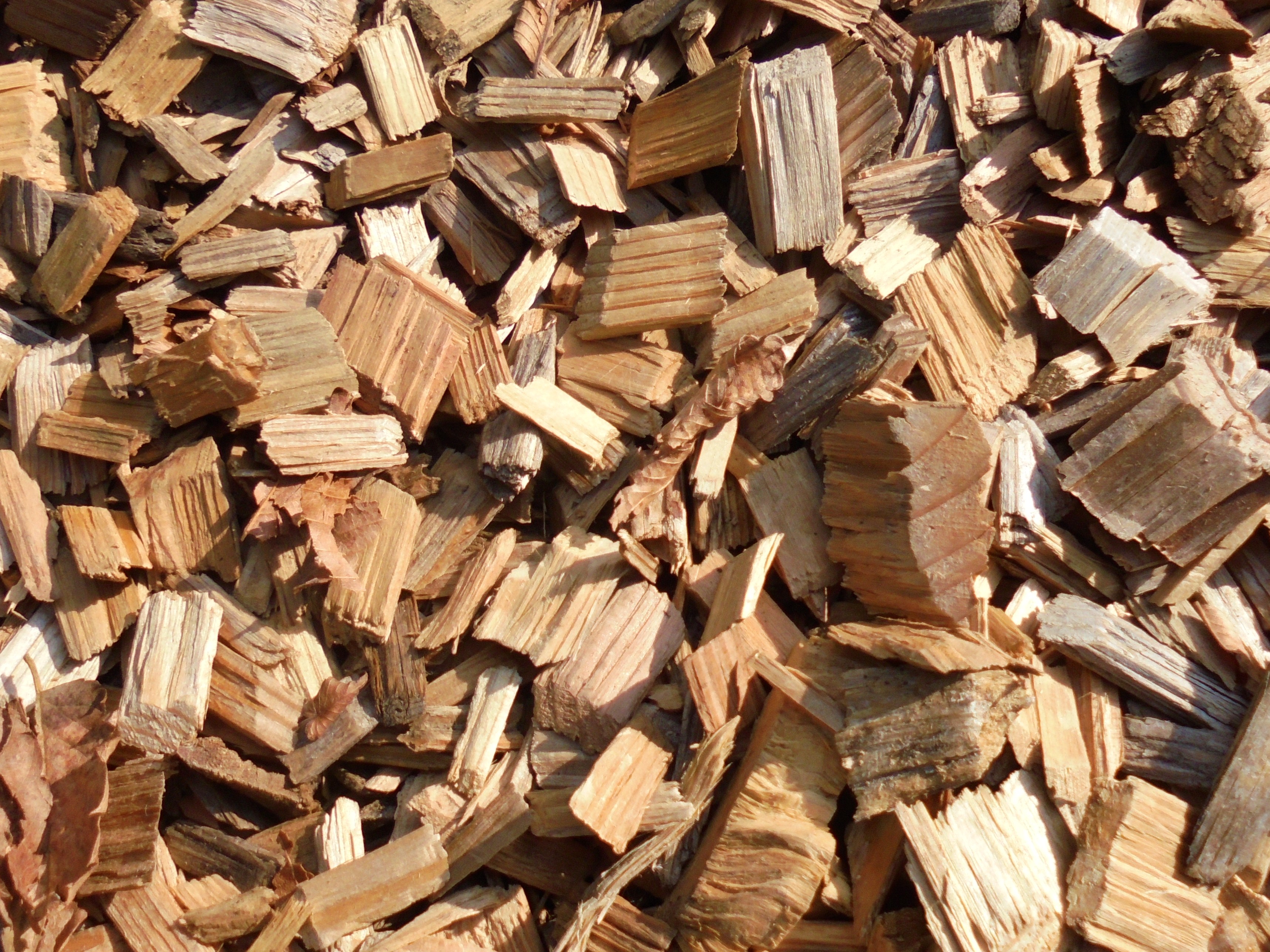 原材料は持続可能な森林経営の認証を取得した森林から供給される間伐材